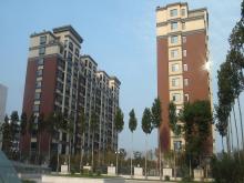 潍坊市和春住住宅楼，，，，，获得2013年度潍坊市“优质结构杯质量奖”
