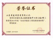 泰山国际A楼山东省门徒娱乐工程优质结构杯